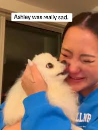 Ashley Loses Her Dog