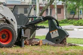 Maybe you would like to learn more about one of these? 1 Stump Grinding Professionals Colleyville Stump Grinding Tree Removal