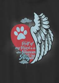 My Drill Is The Drill That Creates The Heavens Half Of My Heart Is In Heaven With My Angel Pet Remembrance Pet Grief Rainbow Bridge