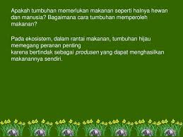 Fotosintesis Ppt Download