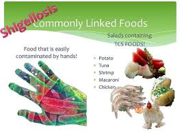 Image result for Shigella