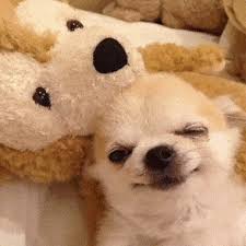 Discover and share the best gifs on tenor. Beautiful Good Night Gif Bear Hadasse
