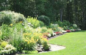 The Hudson Garden A Beautiful Solution To A Landscape Problem Landscape Problems Garden Narrow Garden