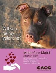 Adopt a homeless pet (dog or cat) or pets from animal shelters. 53 Adoption Events Ideas Adoption Humane Society Animal Shelter