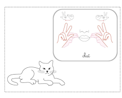 Chat Lsf Le Plaisir D Apprendre Lsf Langage Des Signes Bebe Lsf Langue Des Signes