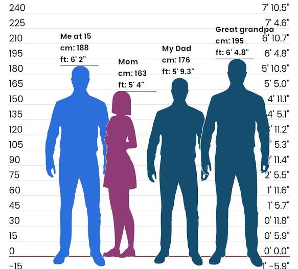 I'm tall thanks for my maternal great grandpa : r/tall