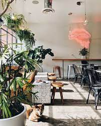 White Noise Coffee Co Davina Nyc Heydavina Cafe Interior Design Practical Decorating Cafe Interior