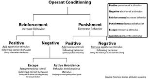 behaviorism and social learning edpr 2111