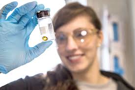 IODP JRSO • IODP Expedition 395C Photo Gallery