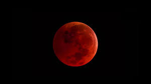 Rivers turn red as super blood moon is set to rise ➨twitter Super Wolf Blood Moon On 21 January When And Where To Watch The Eclipse In India Technology News Firstpost