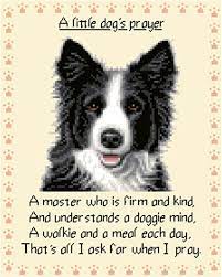 Border Collie Dog Complete Counted Cross Stitch Kit Korssting