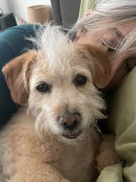 I love my babies, when my youngest is crying and I am doing Laundry or  cleaning my oldest won't pay her any mind, but when oldest is in time out  my youngest