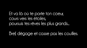 Epingle Par Modern Nada Sur A Mediter Citations Sarcastique Humour Noir Sarcastique