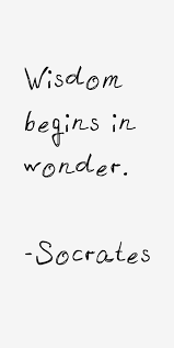 Socrates Quotes More Philosophy Quotes Philosophy Quotes Philosophy Peace Inner Peace Mother Ter In 2020 Socrates Quotes Amazing Inspirational Quotes Philosophy Quotes