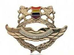Anteriormente, aun admitiendo la existencia de piezas y figuras en los escudos de los guerreros, no constituían el blasón propiamente dicho, sino más bien un signo de distinción entre los combatientes. 190 Ideas De Grados Distintivos Parches Y Escudos De Las Ffaa De Colombia Escudo Parches Batallones