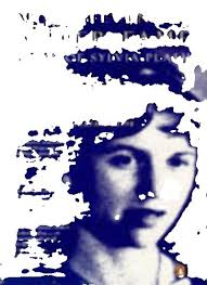 BLUE JAY GIRL AND LION SINGER: TWO STORIES FOR CHILDREN By Sylvia Ross  BRAND NEW 9780578457826| eBay