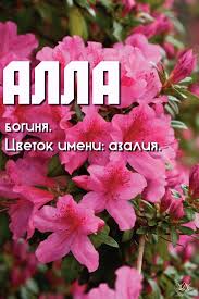 Известные люди и толкование женской женское имя алла по происхождению древнегреческое. Idei Na Temu Den Angela 900 V 2021 G Angel Imeniny Otkrytki