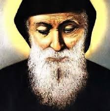 Why did the Catholic church apologize for oppression and genocide if it  maintains infallibility?