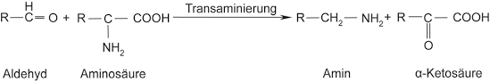 Since these microorganisms are commonly present in the environment, biogenic amines can be contained in foods and beverages. Https Cuvillier De Uploads Preview Public File 7744 Leseprobe Pdf