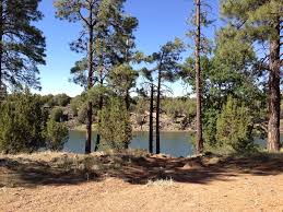 Choose from koa journeys, koa holidays, & koa resorts. Fool Hollow Lake State Park Arizona Mountains State Parks Visit Arizona