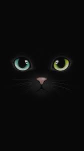 Black Cat Wallpaper Cute Black I Lovely Wallpaper Kartun Lucu Wallpaper Disney Lucu Wallpaper Disney