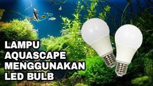 We did not find results for: Membuat Lampu Aquascape Diy Dari Bohlam Led Mudah Murah Meriah Terang Youtube