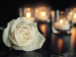 Flowers on the hill danbury. Obituary Joseph A Fiorita Jr 77 Of Danbury Danbury Ct Patch