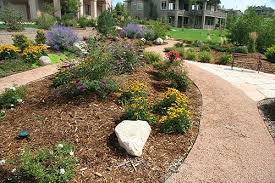 Special offer photo is currently included with realtime landscaping pro, plus, and architect at no extra charge. Benefits Of Native Plants Xeriscape In Colorado Landscape Design