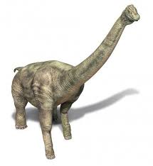 Omeisaurus Extreme Dinosaurs In Atlanta Dinosaur Prehistoric World Long Neck Dinosaur