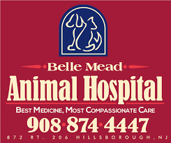 In her free time, she enjoys singing, traditional. Belle Mead Animal Hospital