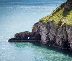 Berry head is a national nature reserve (nnr) and within a special area of conservation (sac). Berry Head National Nature Reserve Devon Boutique Hideaways