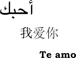 Preview love you mr arrogant episod 26. I Love You In Arabic Love You Mr Arrogant Forever Quotes Love You In Arabic Language Full Size Png Download Seekpng