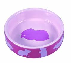 Find this pin and more on perfect pets by victoria gant. 33 Cute Hamster Food Dishes Ideas Hamster Food Hamster Food Dishes