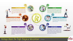 Eylul Irem Tuncel Adli Kullanicinin Egitim Panosundaki Pin Infografik Kimya Biyoloji