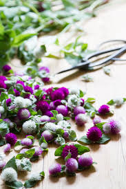 We did not find results for: Make Your Own Dried Flower Garland Reading My Tea Leaves Slow Simple Sustainable Living