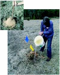 Maybe you would like to learn more about one of these? Pouring Hot Water Into A Fire Ant Colony That Has Been Opened By Download Scientific Diagram