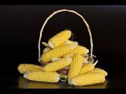 تفسير حلم الذرة في المنام للرجل والمرأة المتزوجة والحامل والعزباء والمطلقة. ØªÙØ³ÙŠØ± Ø­Ù„Ù… Ø±Ø¤ÙŠØ© Ø§Ù„Ø°Ø±Ù‡ ÙÙŠ Ø§Ù„Ù…Ù†Ø§Ù… Ù„Ø§Ù† Ø³ÙŠØ±ÙŠÙ† Youtube