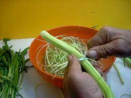 Maybe you would like to learn more about one of these? Preparazione Delle Puntarelle Alla Romana Il Taglio Youtube