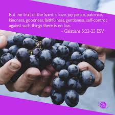 His Fruit Is The Answer Christian Bloggers Woman Faith Bloggers Daily Devotional
