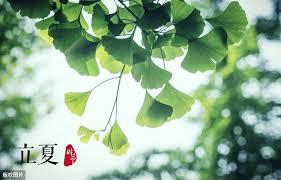 It signifies the beginning of summer in traditional chinese cultures. ä»Šå¤©ç«‹å¤ å¤ä¸å…»å¿ƒ å†¬è‡³éš¾ç†¬ å¤©å¤©è¦é—»