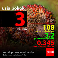 Ini penjelasannya, plus informasi berapa banyak kuota yang dibutuhkan untuk nonton youtube. Baja Potent Kenali Sawit Anda Dengan Berat Tandannya Facebook