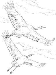 coloriage grue du japon en vol coloriages a imprimer gratuits vengeurs