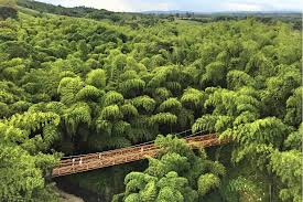 Image result for colombia park