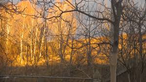 песня но в душе в неглиже я романтик скачать Pesnya A Dusha Bolit Pesni Dush Krugi