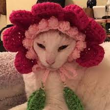Female Dog Easter Bunny Ears Bunny Hat For Cat Pet Bunny Ears Crocheted Bunny Ears Hat For Cat Easter Cat Hat Easter Bunny Ears Easter Cats Hat For Cat