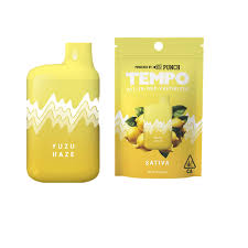 Image result for Tempo One