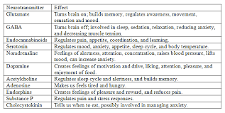 Effects Of Drugs On Neurotransmitters