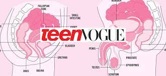 The Hand Mirror: Teen Vogue and Anal Sex