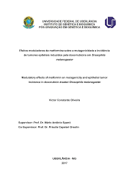 Efeitos moduladores da metformina sobre a mutagenicidade e incidência de  tumores epiteliais induzidos pela doxorrubicina em Dro