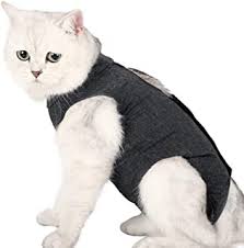 Benefits of clothes for cats naturally, cats are equipped with fur all over their bodies to protect themselves from all weather. Cat Clothing Amazon Co Uk